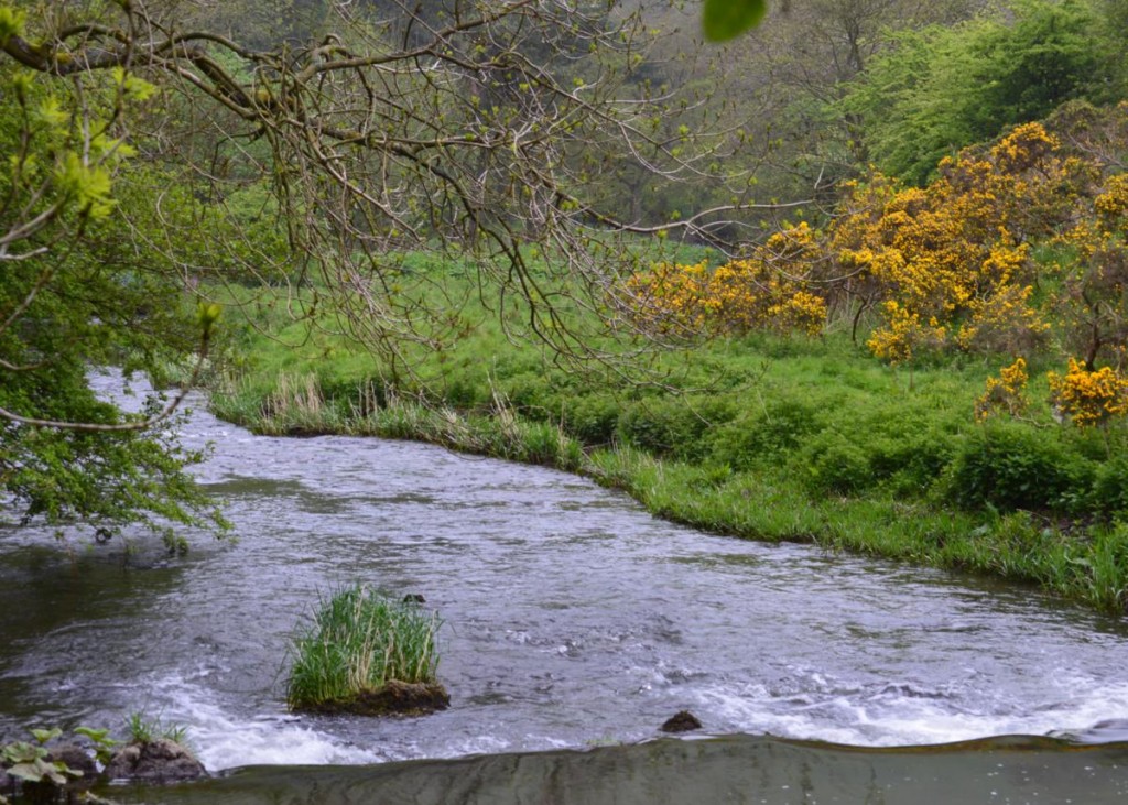 DofE Gallery (3)_1200x857