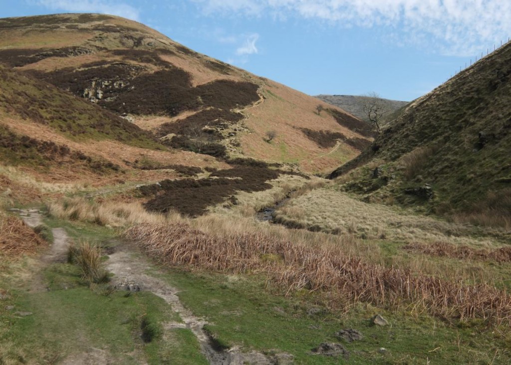 DofE Gallery (6)_1200x857