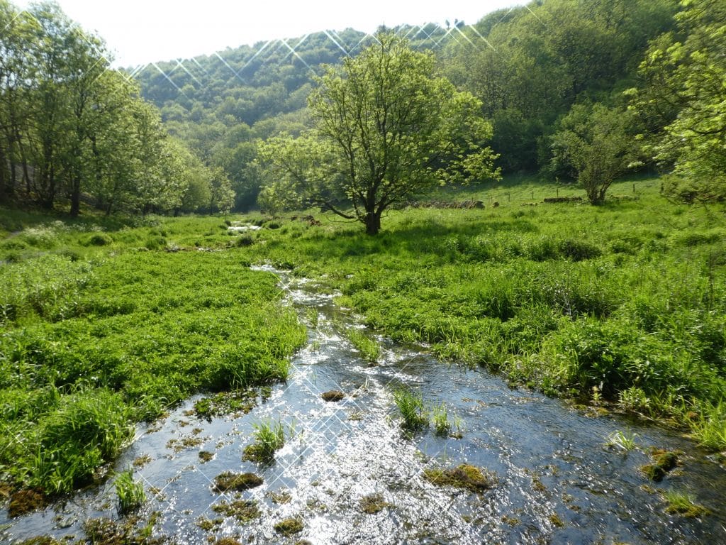 BRONZE MAY 2018 (31) V2